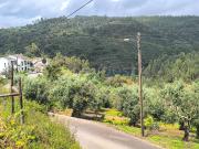 Moradia T1, Aldeia Do Mato e Souto, Abrantes | BPI...