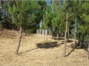 Moradia T1, Avessadas e Rosém, Marco de Canaveses | BPI...