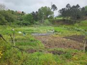 Moradia T1, Constance, Marco de Canaveses | BPI Expresso...