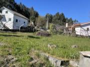 Moradia T1 em Alvarenga