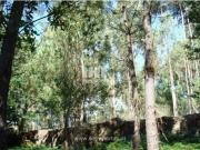 Moradia T1, Forjães, Esposende | BPI Expresso Imobiliário