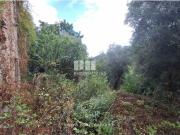 Moradia T1, Jolda Madalena e Rio Cabrão, Arcos de...