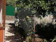 Moradia T1, Sobreira Formosa e Alvito Da Beira, Proença...