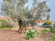 Moradia T2, A Dos Negros, Óbidos | BPI Expresso Imobiliário