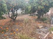 Moradia T2, Aljustrel e Rio de Moinhos, Aljustrel | BPI...