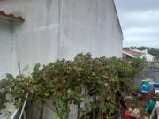 Moradia T2, Alvega e Concavada, Abrantes | BPI Expresso...