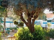 Moradia T2 com Jardim, Grândola