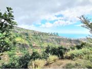 Moradia T2 Com Palheiro