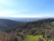 Moradia T2, Cumeeira, Penela | BPI Expresso Imobiliário