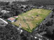 Moradia T2 em Branca