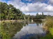 Moradia T2 em Pinhal Novo