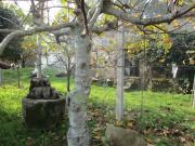 Moradia T2, Estorãos, Ponte de Lima | BPI Expresso...