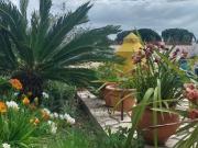 Moradia T2, Grândola e Santa Margarida Da Serra,...