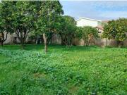 Moradia T2, Monte Real e Carvide, Leiria | BPI Expresso...