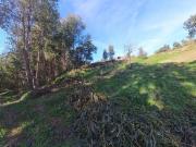 Moradia T2, Pedrógão Pequeno, Sertã | BPI Expresso...