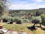 Moradia T2, Proença A Velha, Idanha a Nova | BPI...