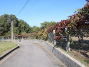 Moradia T2, São Pedro Da Torre, Valença | BPI Expresso...