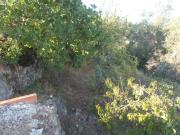 Moradia T2, Torres Novas Santa Maria, Salvador e...