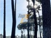 Moradia T3+1, Corroios, Seixal | BPI Expresso Imobiliário