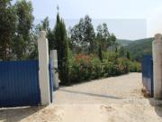 Moradia T3, Aldeia Das Dez, Oliveira do Hospital | BPI...