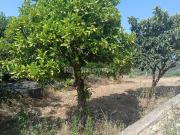 Moradia, Além Da Ribeira e Pedreira, Tomar | BPI...