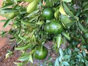 Moradia T3, Amora, Seixal | BPI Expresso Imobiliário