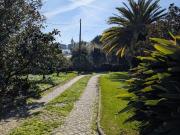 Moradia T3, Árvore, Vila do Conde | BPI Expresso Imobiliário