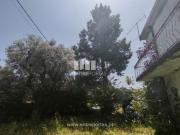 Moradia T3, Barroselas e Carvoeiro, Viana do Castelo |...