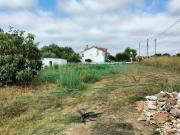 Moradia T3, Cabrela, Montemor o Novo | BPI Expresso...