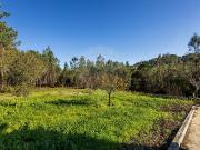 Moradia T3, Carnide, Pombal | BPI Expresso Imobiliário