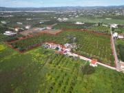 Moradia T3 com mais de 2 hectares de pomar em Tavira