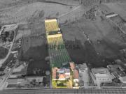 Moradia T3 com Pavilhões Bairradas