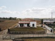 Moradia T3 com Terreno 10.000m² e Vinha em Produção |...