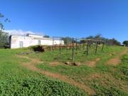 Moradia T3 com terreno em Pechão