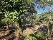 Moradia T3, Eiras e São Paulo de Frades, Coimbra | BPI...