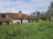 Moradia T3 em Areias e Pias