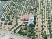 Moradia T3 em Figueira de Castelo Rodrigo