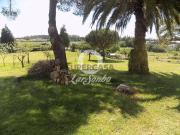 Moradia T3 em Guilhabreu