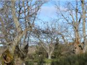 Moradia T3 em Santana da Azinha Moradia T3 em Santana da Azinha