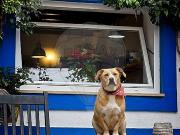 Moradia T3, Ericeira, Mafra | BPI Expresso Imobiliário