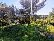 Moradia T3, Estômbar e Parchal, Lagoa Algarve | BPI...