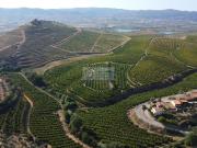 Moradia T3, Eucisia, Gouveia e Valverde, Alfandega da Fé...