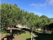 Moradia T3, Foz Do Arelho, Caldas da Rainha | BPI...