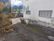 Moradia T3, Góis, Góis | BPI Expresso Imobiliário