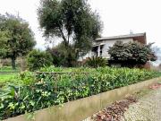 Moradia T3 Isolada em Oliveira do Douro