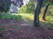 Moradia T3, Jolda São Paio, Arcos de Valdevez | BPI...