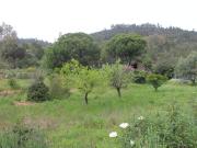 Moradia T3, Monfortinho e Salvaterra Do Extremo, Idanha...