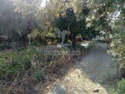 Moradia T3, Ponte de Sor, Tramaga e Vale de Açor, Ponte...