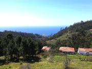 Moradia T3, Prazeres, Calheta Madeira | BPI Expresso...