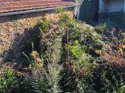 Moradia T3, São Martinho Da Gândara, Oliveira de Azeméis...